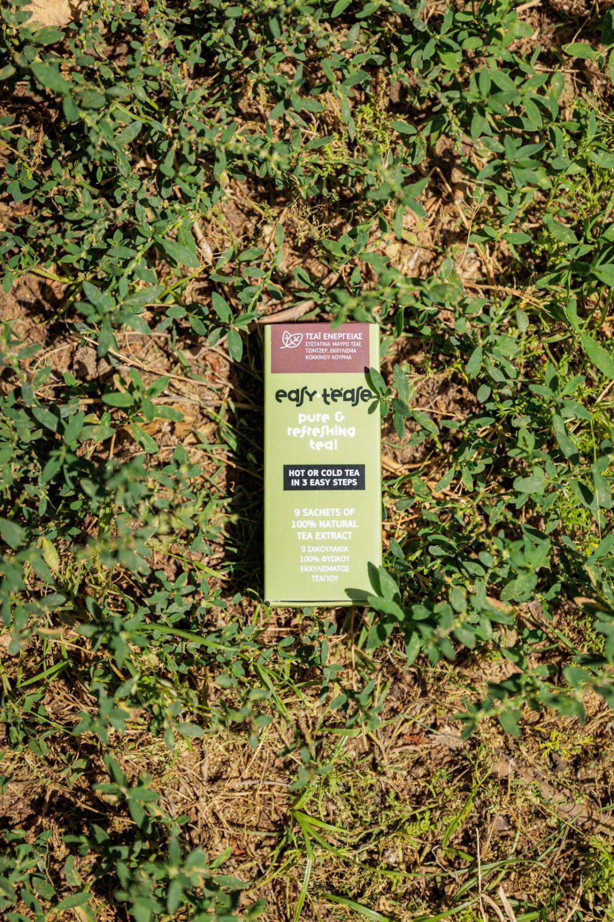 Το Τσάι – Tease